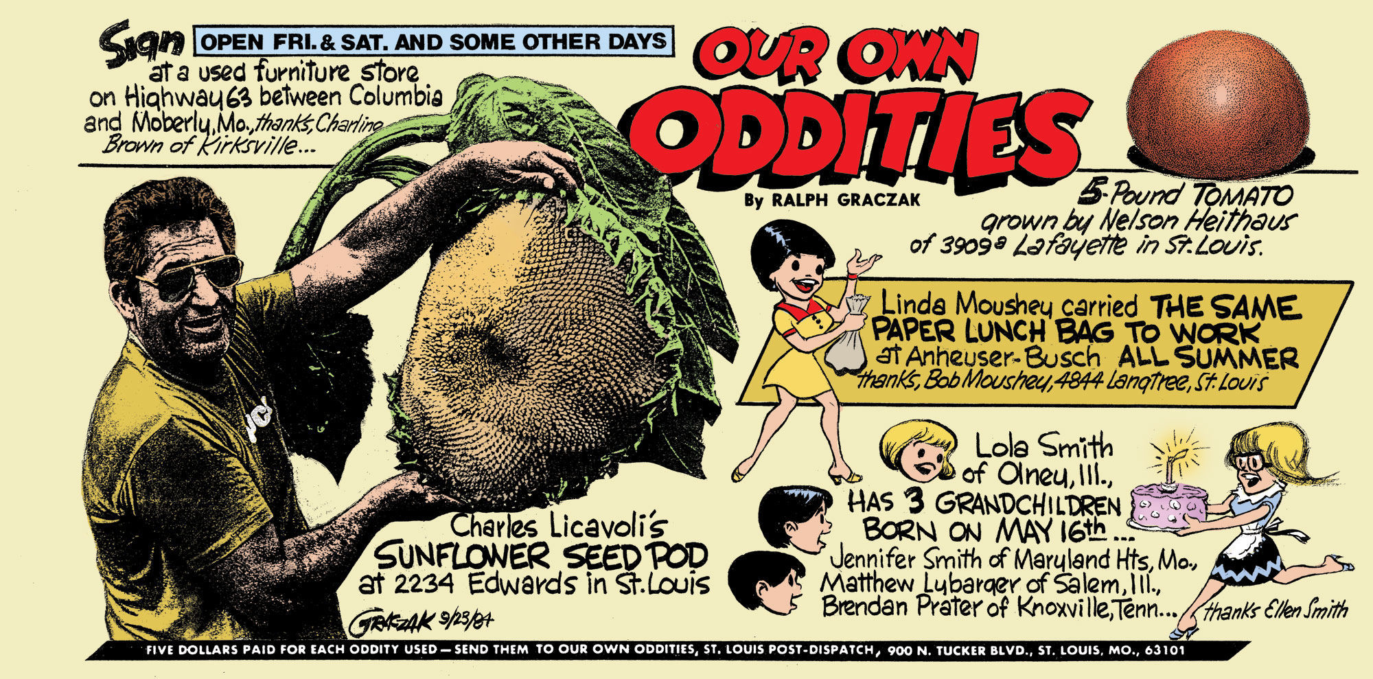 Our Own Oddities